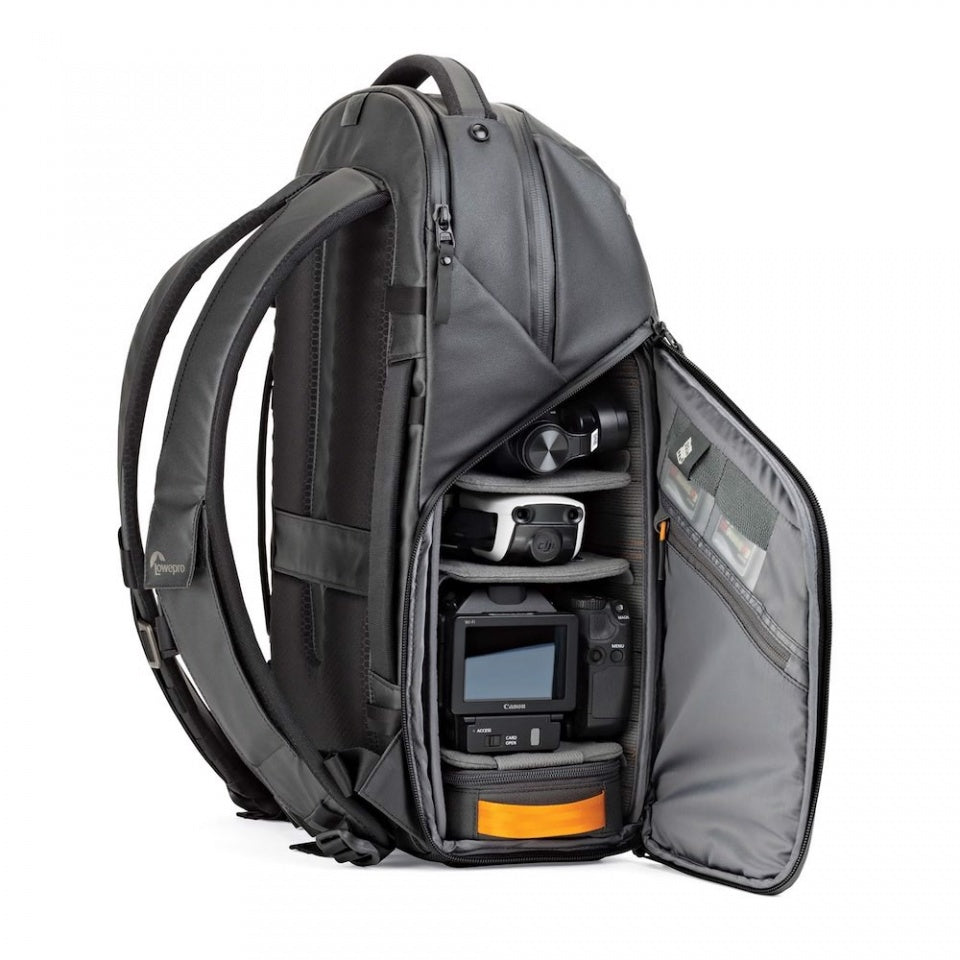 Lowepro LP37170-PWW Freeline BP 350 AW Backpack (Black)