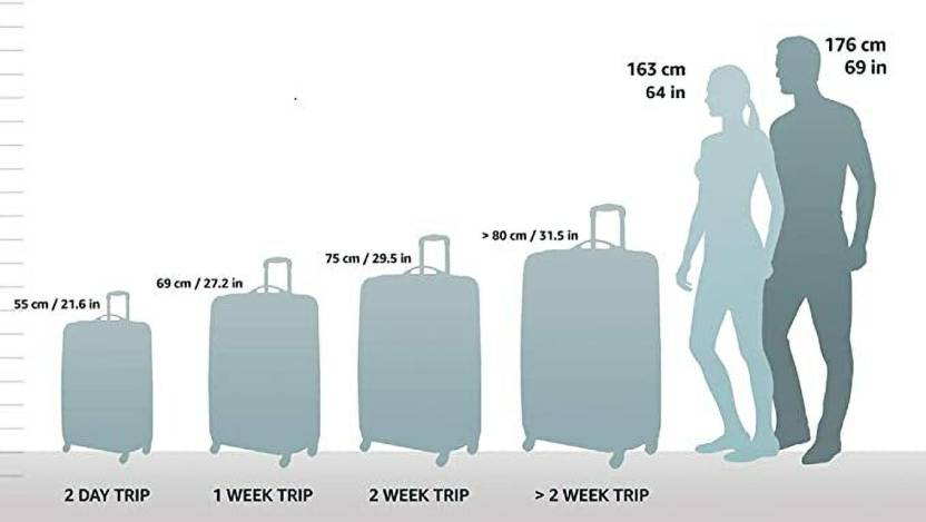 Carter Polypropylene Luggage
